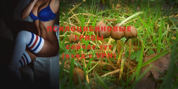 твердый Пестово