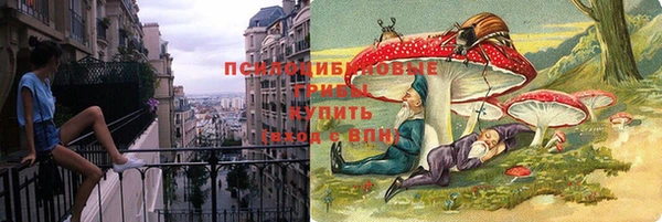 прущие грибы Переславль-Залесский