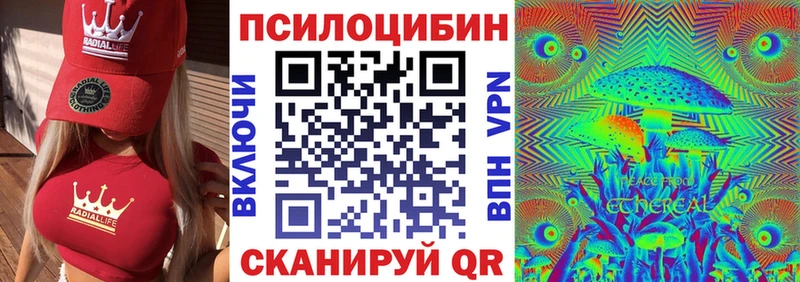 Псилоцибиновые грибы MAGIC MUSHROOMS  Купить закладки  Нестеровская 