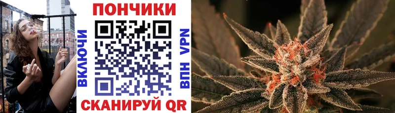 Купить  Нестеровская  Шишки марихуана ГИДРОПОН 